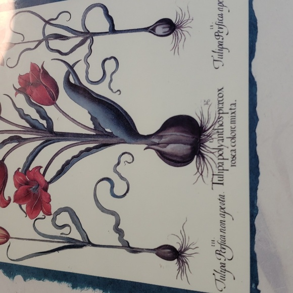 Framed in blue tulip botannical print - Picture 4 of 6